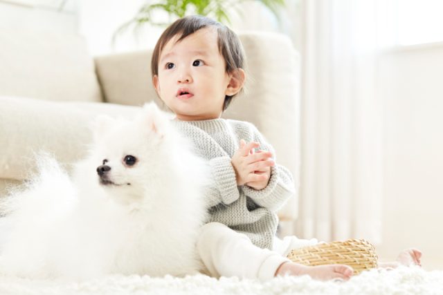 ペット可